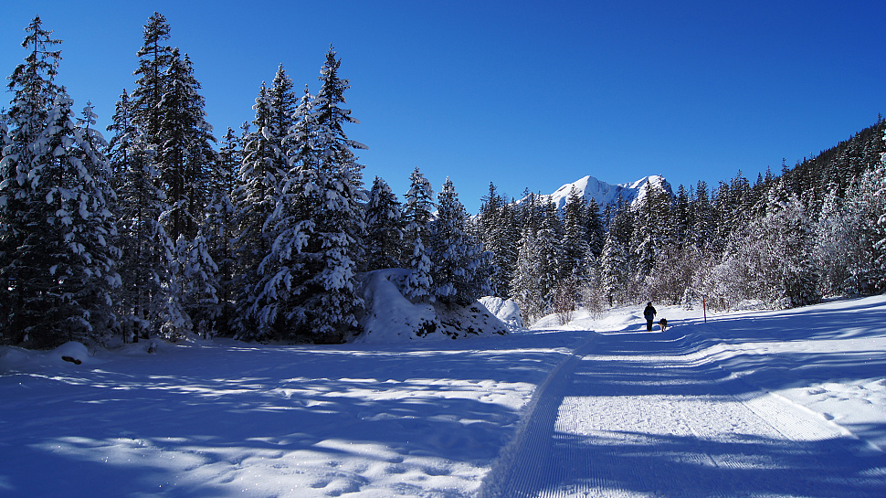 Randonnées hivernales en Suisse et au Liechtenstein